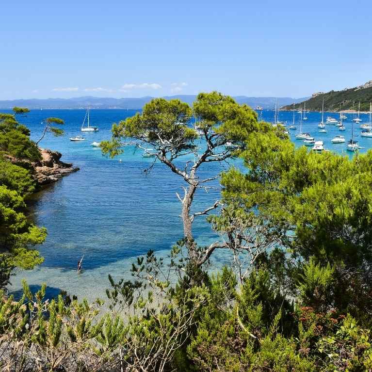 Camping Hyères les Palmiers